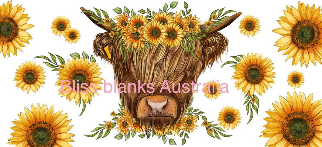 16oz UV DTF - Sunflower Highland cow