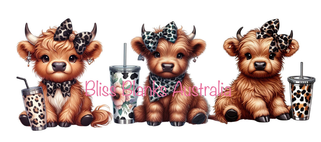 16oz UV DTF - 3 sitting Mini Highland cows with milkshakes