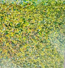 Load image into Gallery viewer, Bubble Glitter 60g Bags
