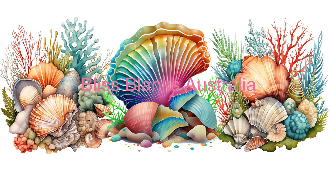 16oz UV DTF - Colourful Seashells