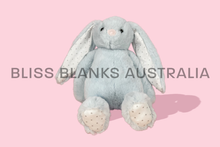 Load image into Gallery viewer, Bunny Rabbit Plush Teddy - Blue
